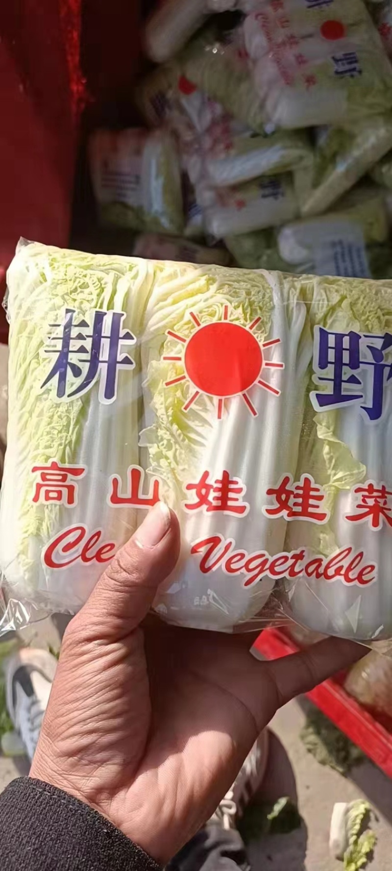 湖北娃娃菜大量上市，小娃娃菜精包装毛菜，支持所有规格