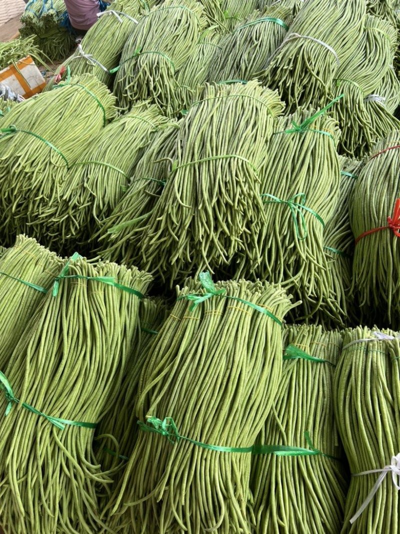 【广东徐闻】长豆角，质量保证，诚信经营，新鲜采摘。