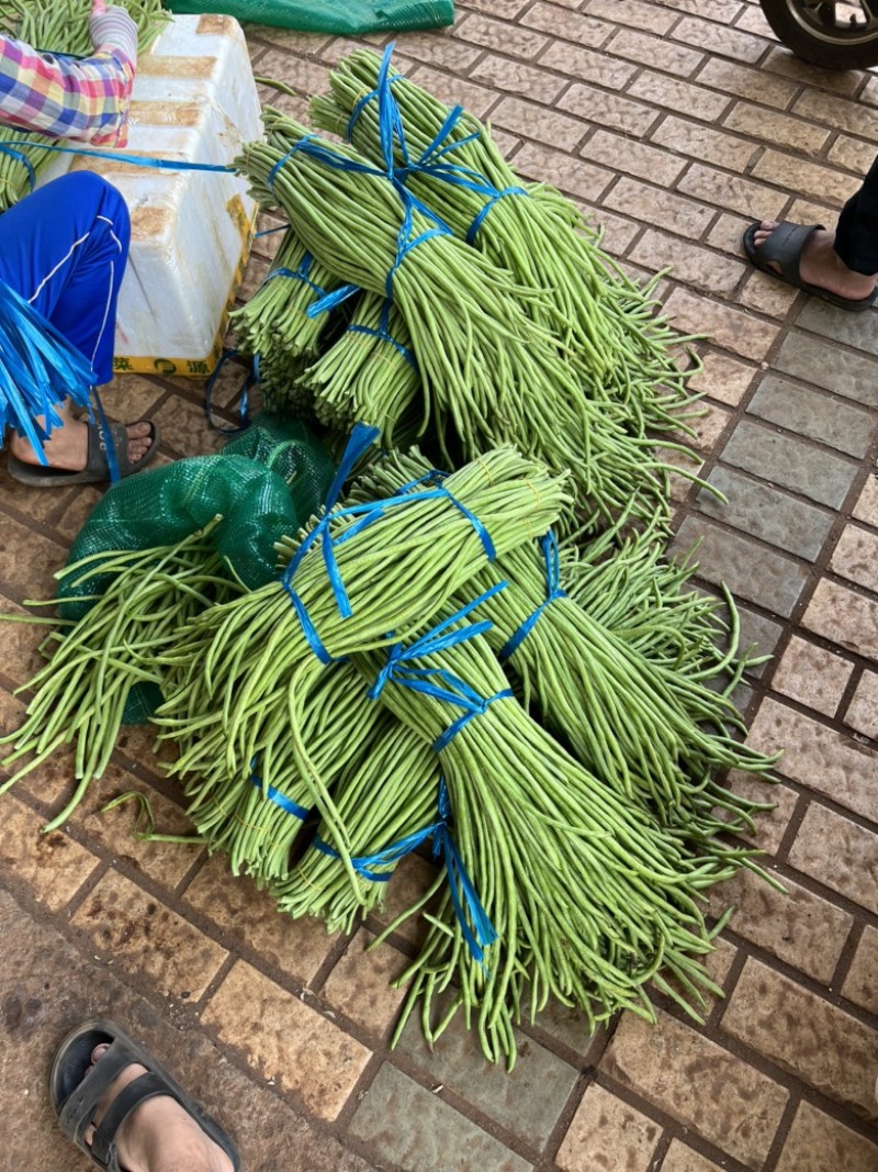 【广东徐闻】长豆角，质量保证，诚信经营，新鲜采摘。