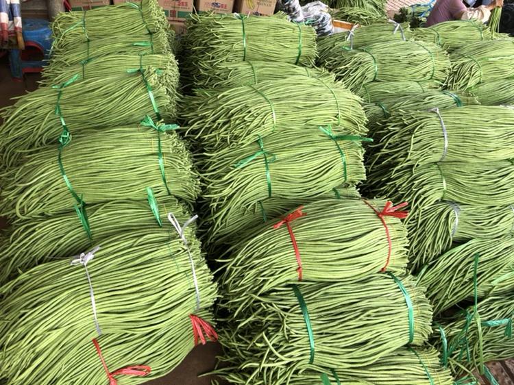 农贸市场摊位上摆放的新鲜豇豆束