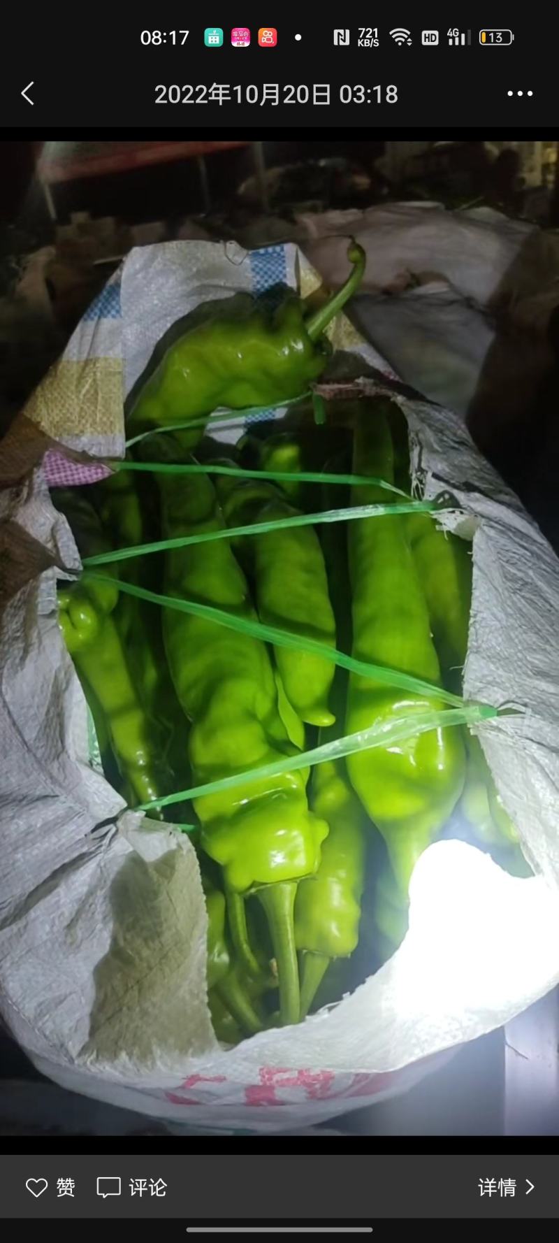 香菜，聊城铁杆青香菜中叶，大量现货供应，香菜