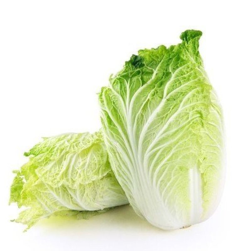 北京新三号白菜出菜了品项超级好欢迎各位老板采购商联系