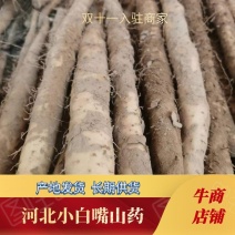 《热卖中》河北小白嘴山药产地发货量大从优长期供货