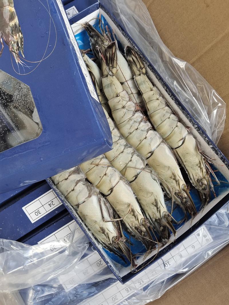 国产黑虎虾金刚虾净重500g一盒