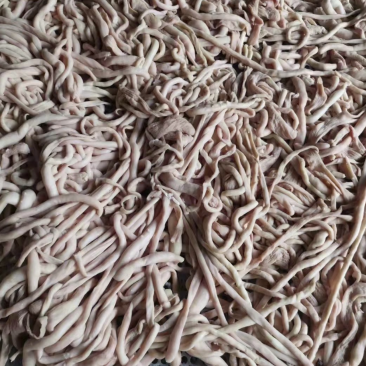 羊肠羊肠子五香十成熟羊肠子羊汤馆直发