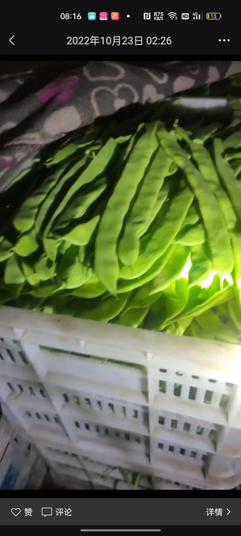 香菜，聊城铁杆青香菜一级代理点，，，，，，，，