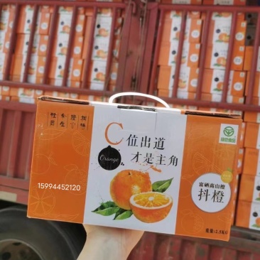 赣南脐橙