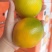 赣南脐橙