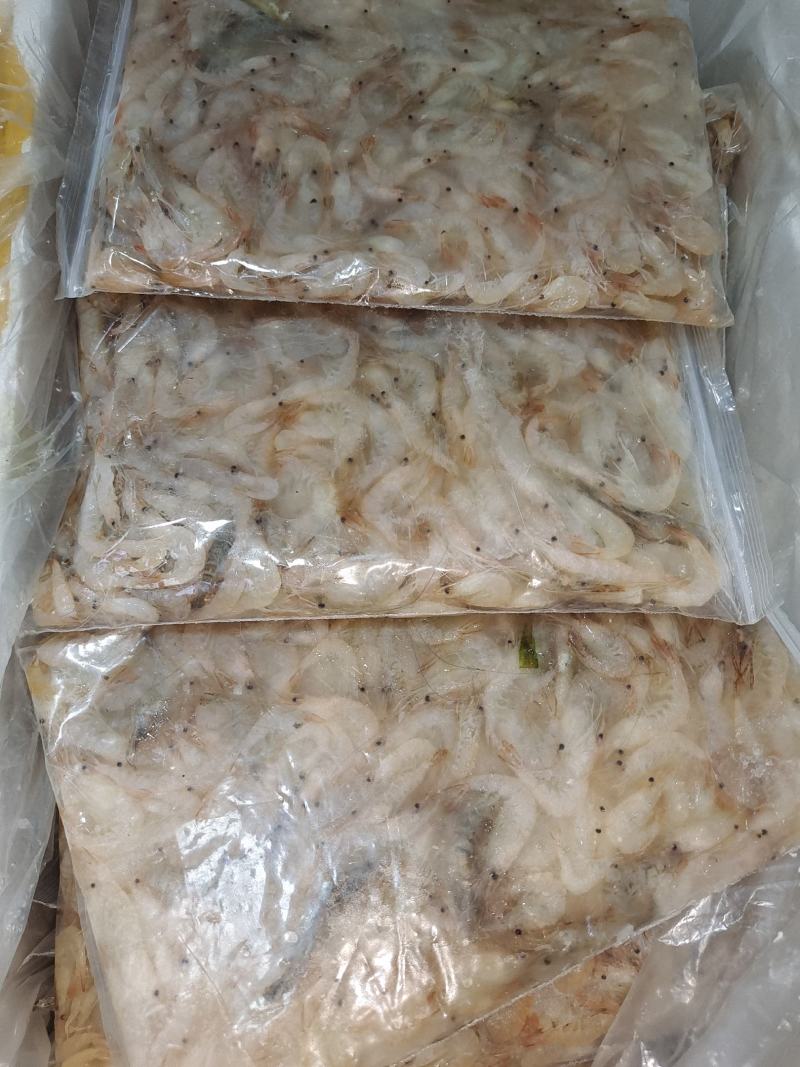 淡水湖小虾