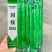 国线2016早熟翠绿色线椒种子辣味浓,椒型顺直坐果率高