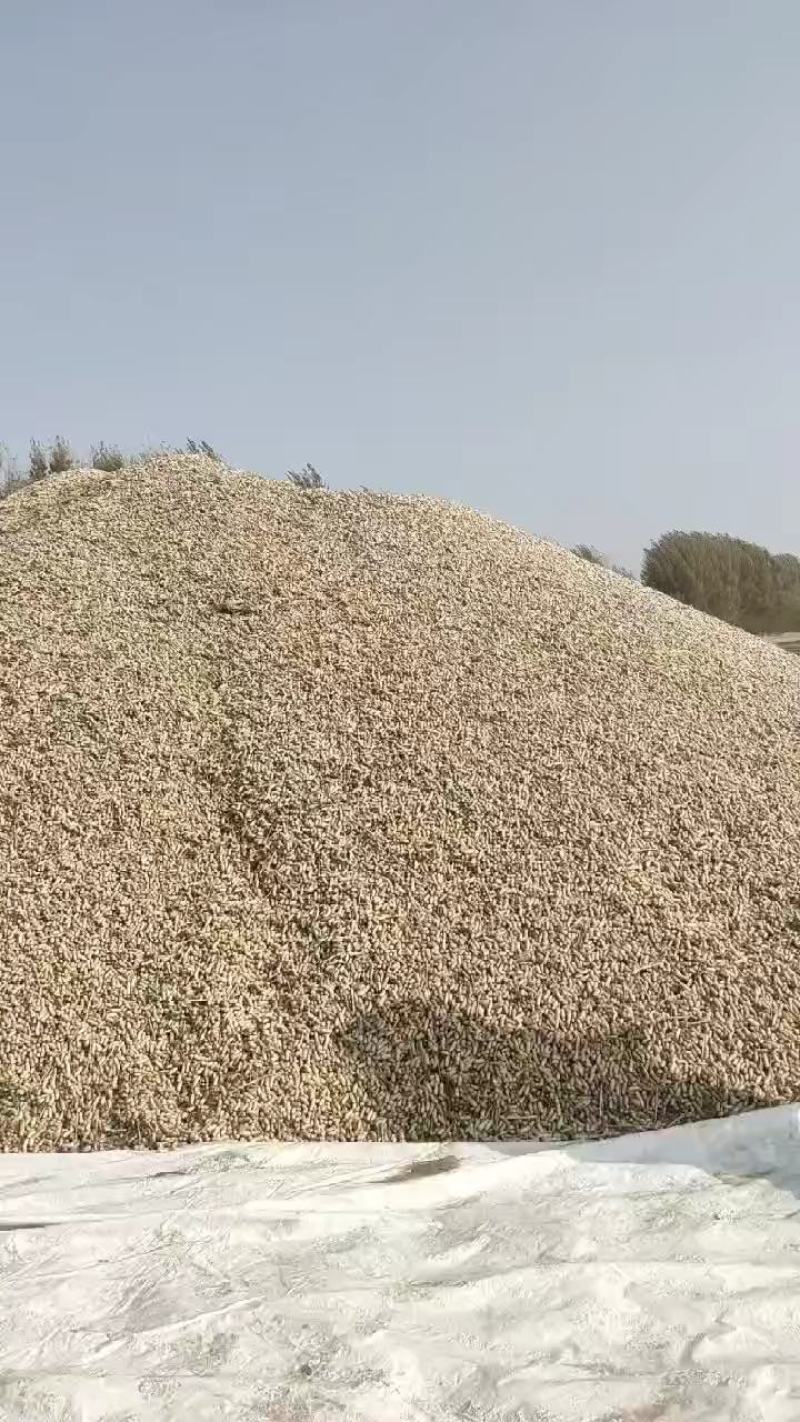 内蒙四粒红精品果整车走货质量保证