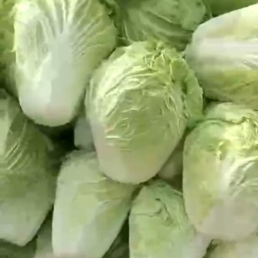 土豆，黄心3两以上，，，，，，，，，，，