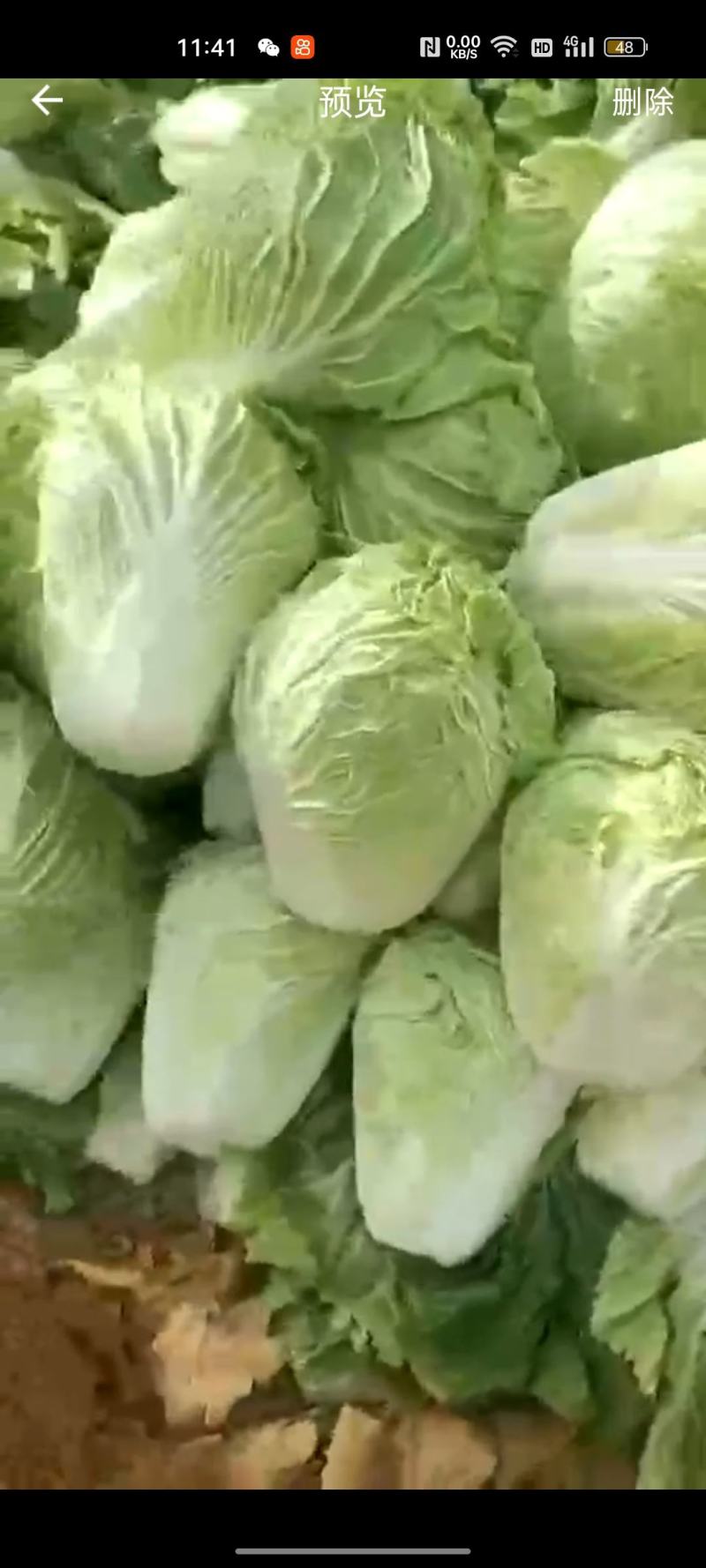 土豆，黄心3两以上，，，，，，，，，，，