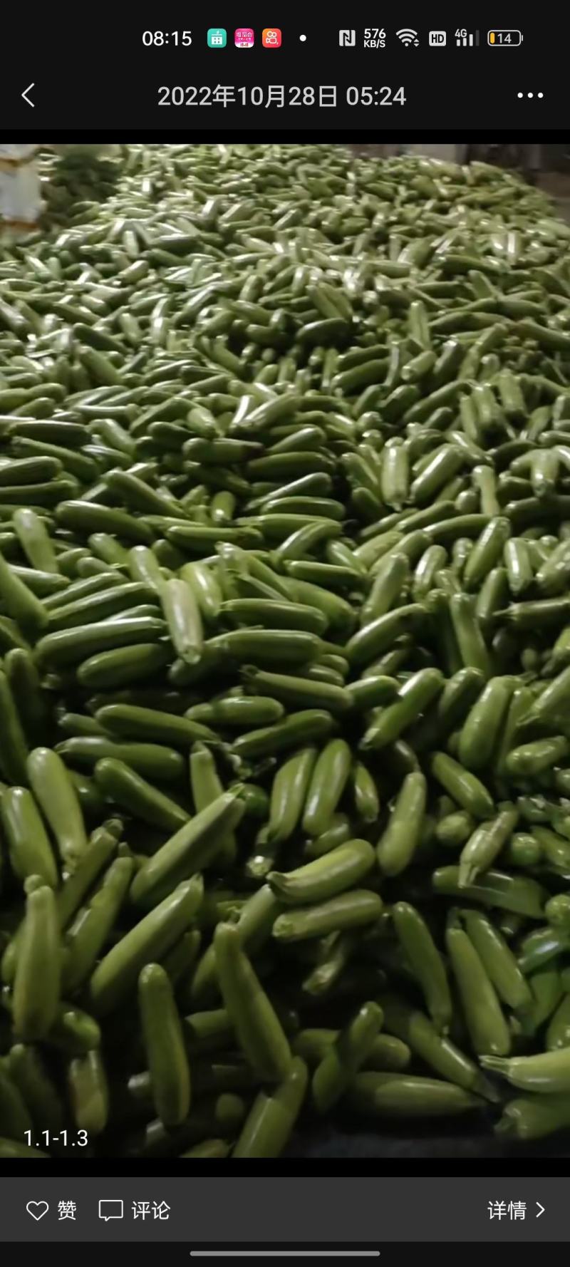 菠菜，聊城东昌府区，菠菜，好菠菜，，，，，