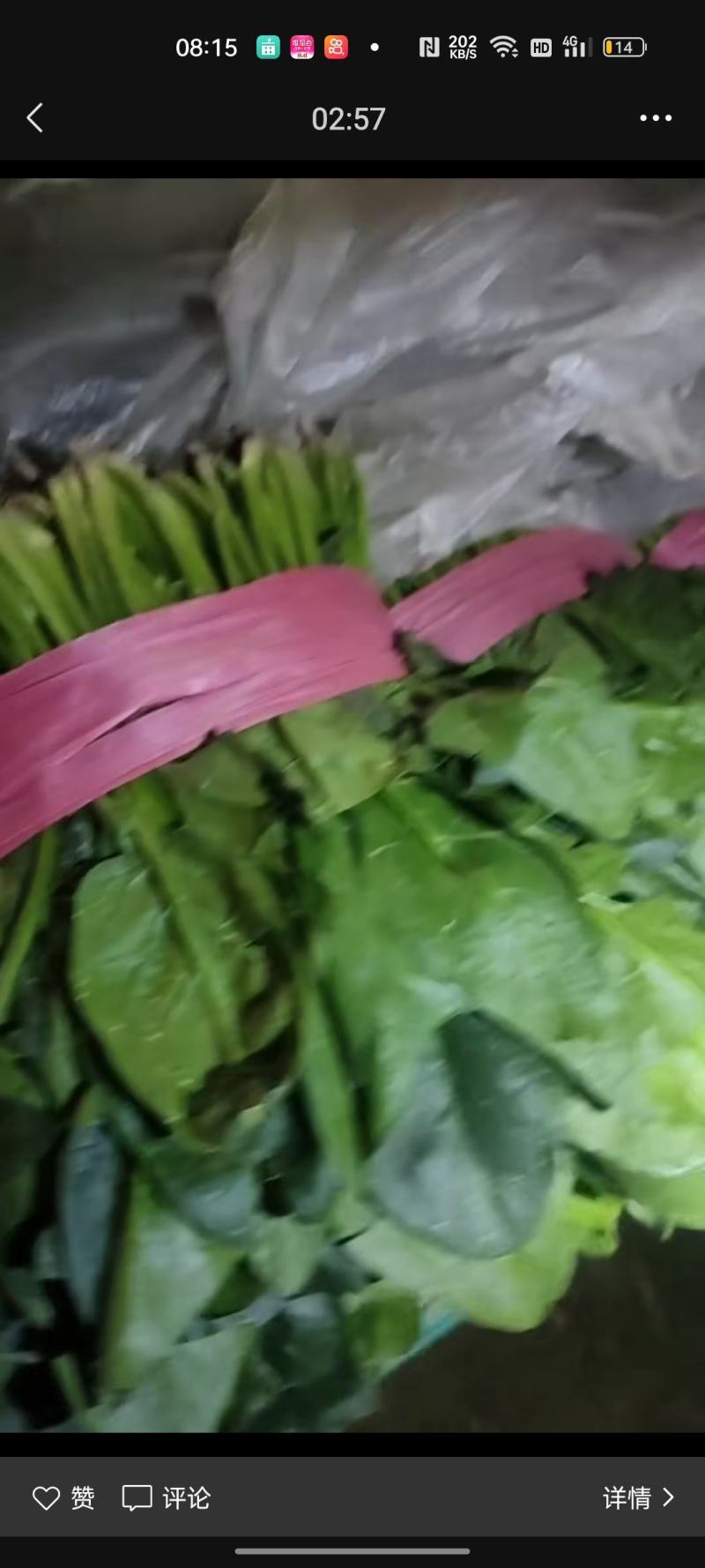 菠菜，聊城东昌府区，菠菜，好菠菜，，，，，