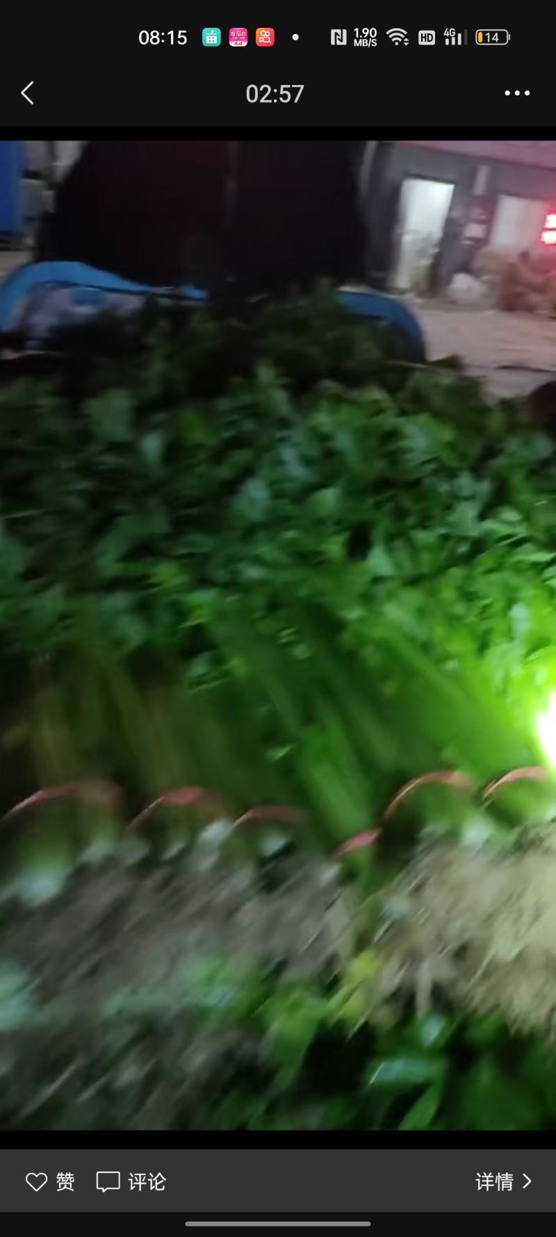 菠菜，聊城东昌府区，菠菜，好菠菜，，，，，