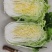 黄心白菜