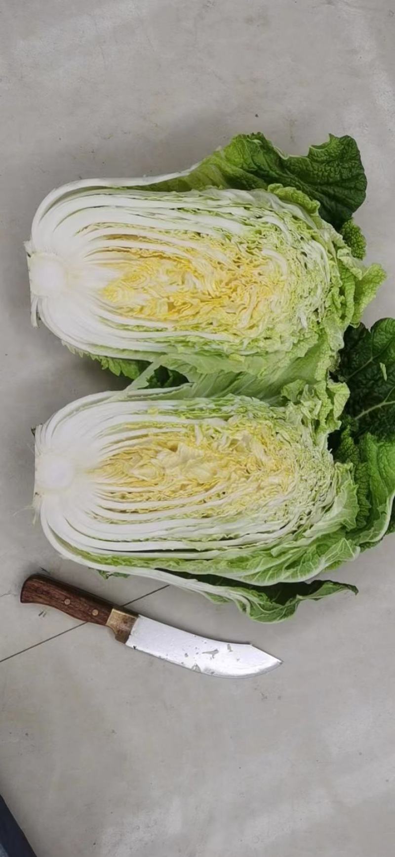 黄心白菜