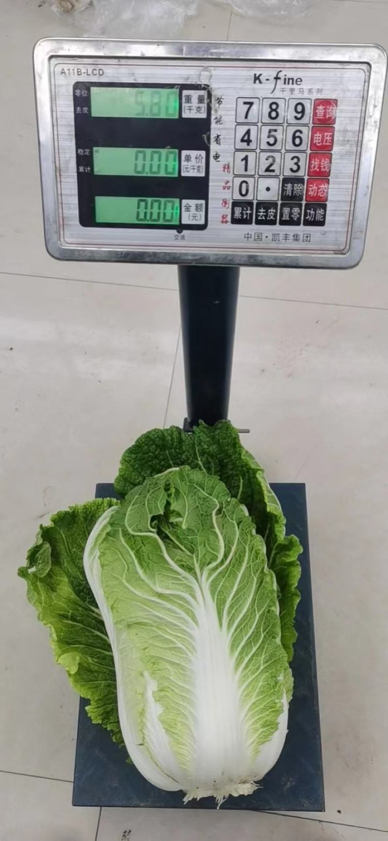 黄心白菜