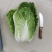 黄心白菜