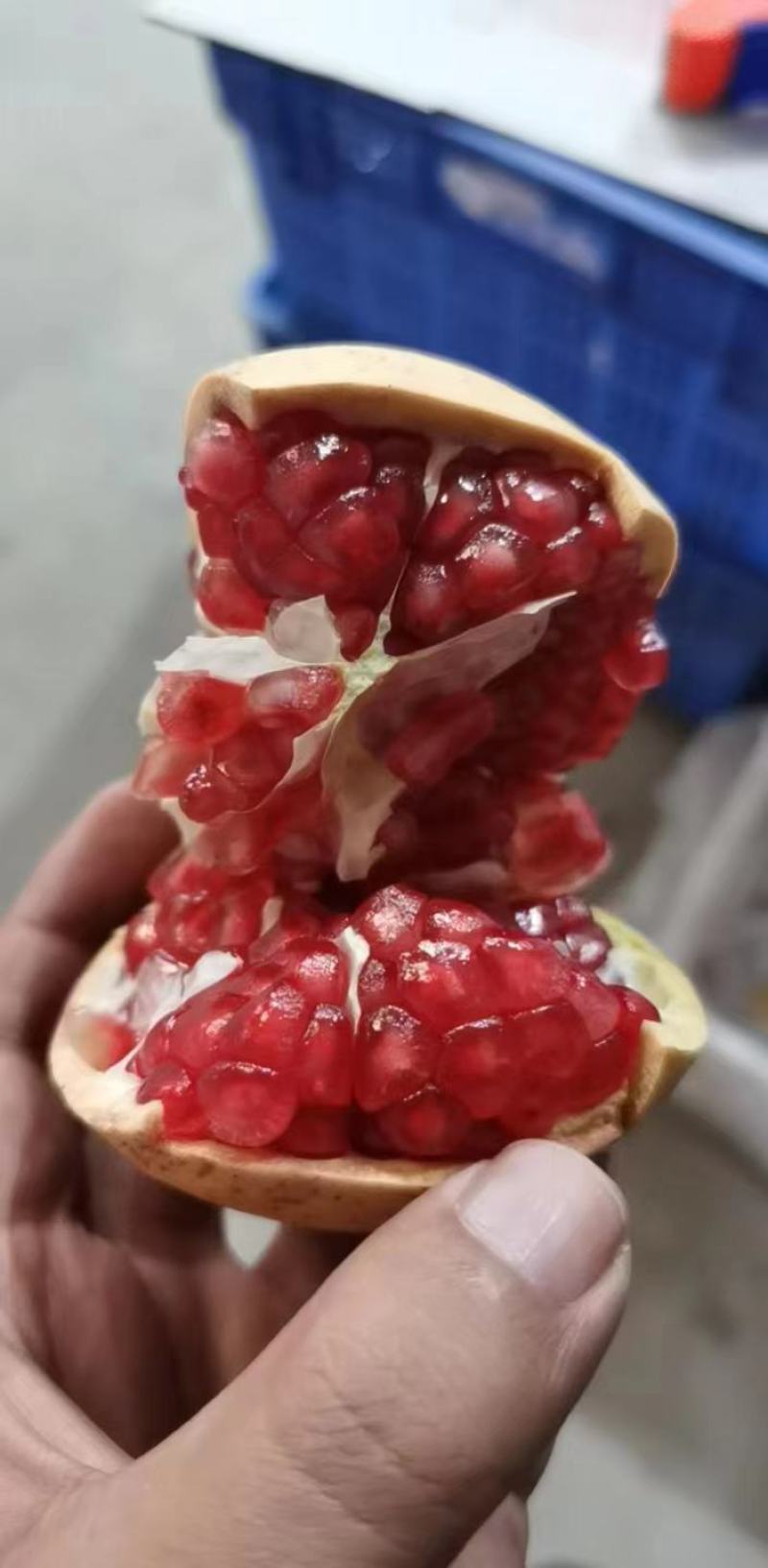 榨汁石榴，蒙自石榴，硬籽石榴，禄子石榴，云南石榴，