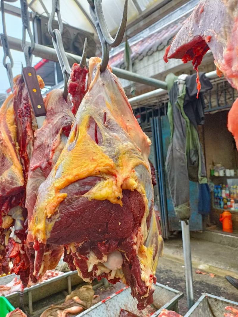 牛肉牦牛肉牦牛排骨新鲜牦牛肉高原纯草标牦牛