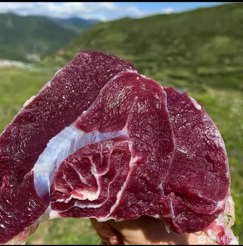 牛肉牦牛肉牦牛排骨新鲜牦牛肉高原纯草标牦牛