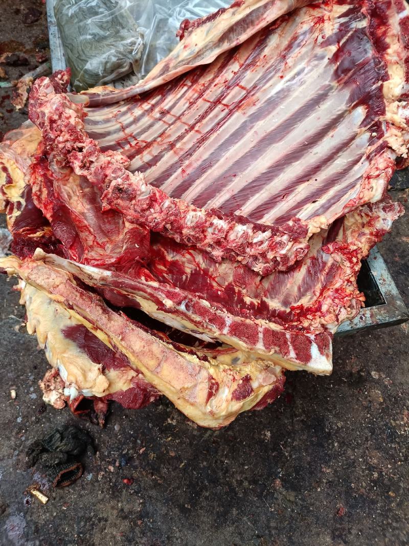 牛肉牦牛肉牦牛排骨新鲜牦牛肉高原纯草标牦牛