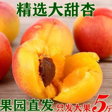黄杏，酸甜可口，果肉厚，耐吃，颜色黄中带点红。