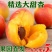 黄杏，酸甜可口，果肉厚，耐吃，颜色黄中带点红。