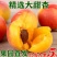 黄杏，酸甜可口，果肉厚，耐吃，颜色黄中带点红。