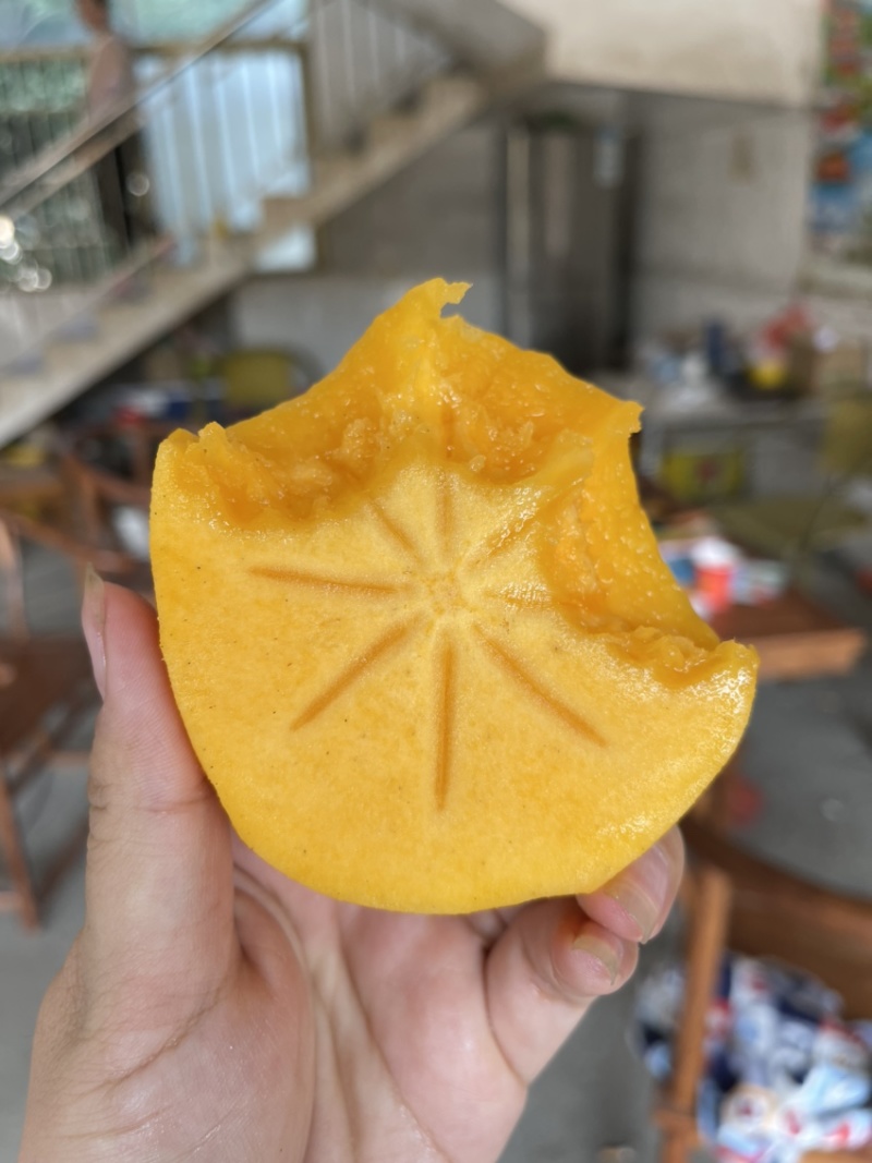 巨无霸脆柿