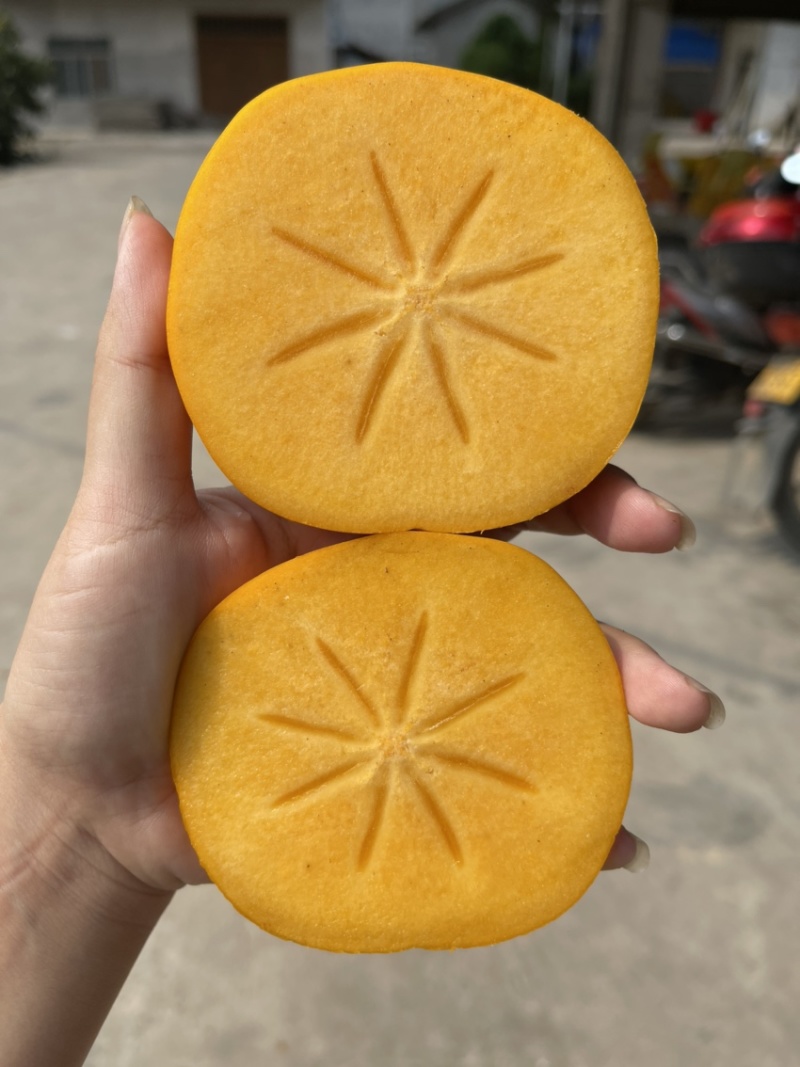 巨无霸脆柿
