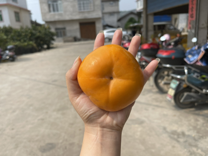 巨无霸脆柿