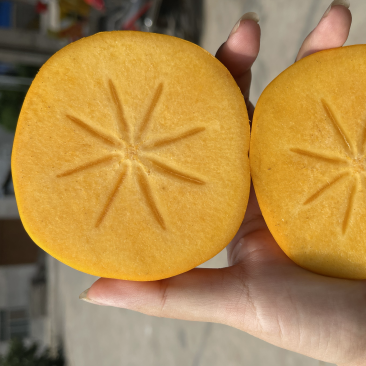 巨无霸脆柿