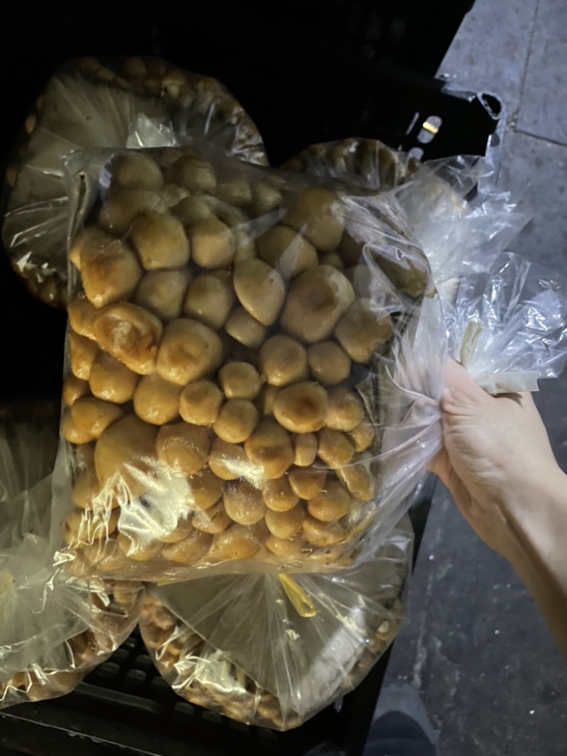 滑子菇量大不断货
