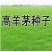草坪种子护坡草籽美国四季青狗牙根高羊茅种子矮生工程庭院绿