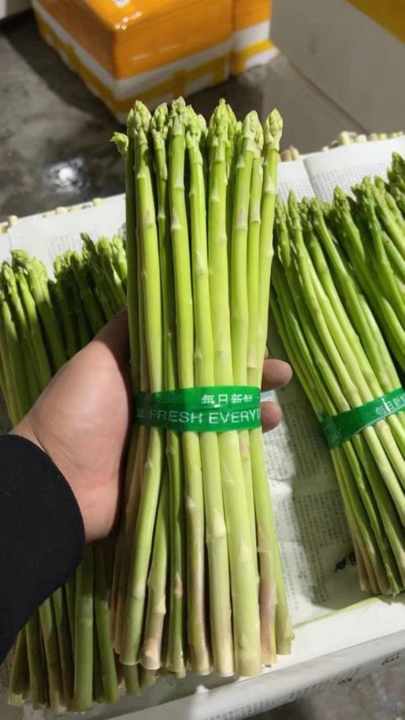 芦笋，福建漳州，一手货源，基地种植，期待更多老板下单，实