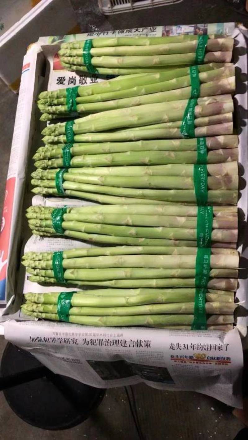 芦笋，福建漳州，一手货源，基地种植，期待更多老板下单，实