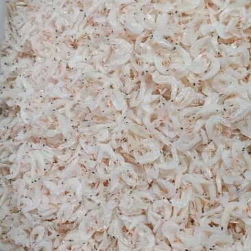 【精品】虾皮无盐洪干，品质保证一件代发，一手货源