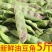 云南新鲜油豆角将军一点红纯油豆面豆角社区团购电商一件代发