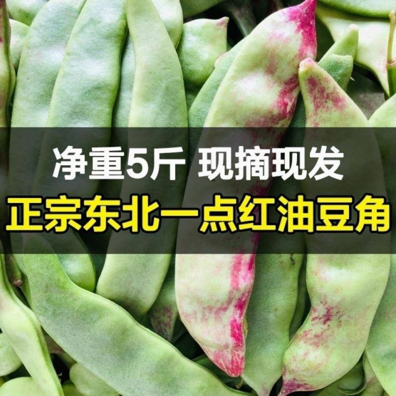云南新鲜油豆角将军一点红纯油豆面豆角社区团购电商一件代发
