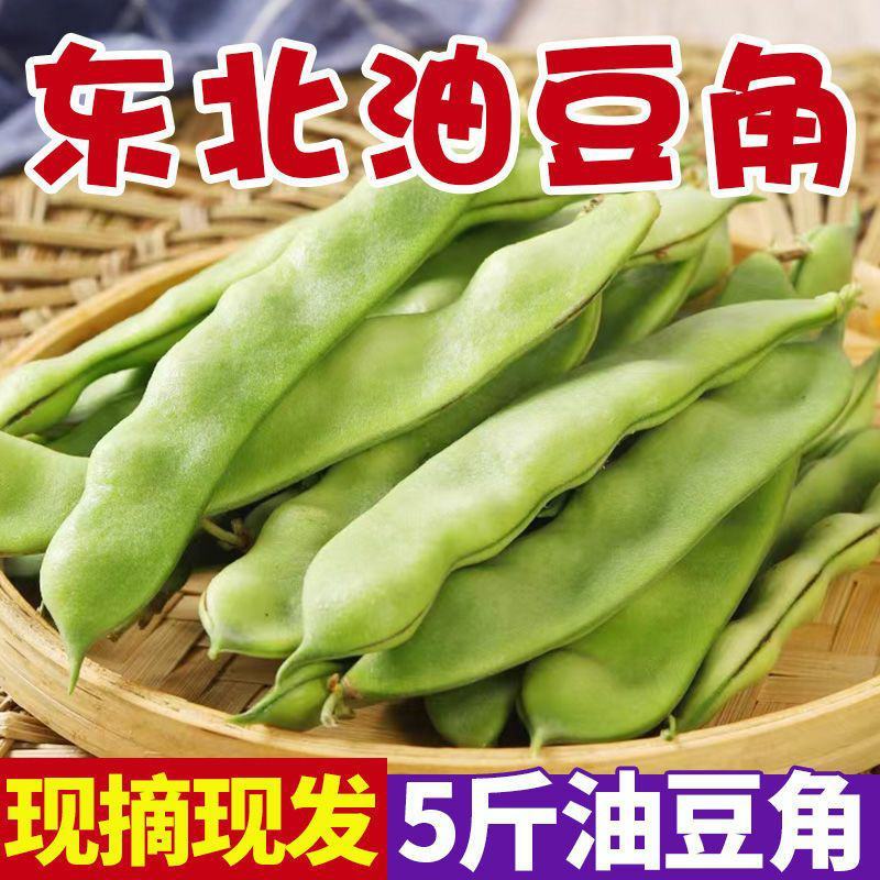 云南新鲜油豆角将军一点红纯油豆面豆角社区团购电商一件代发