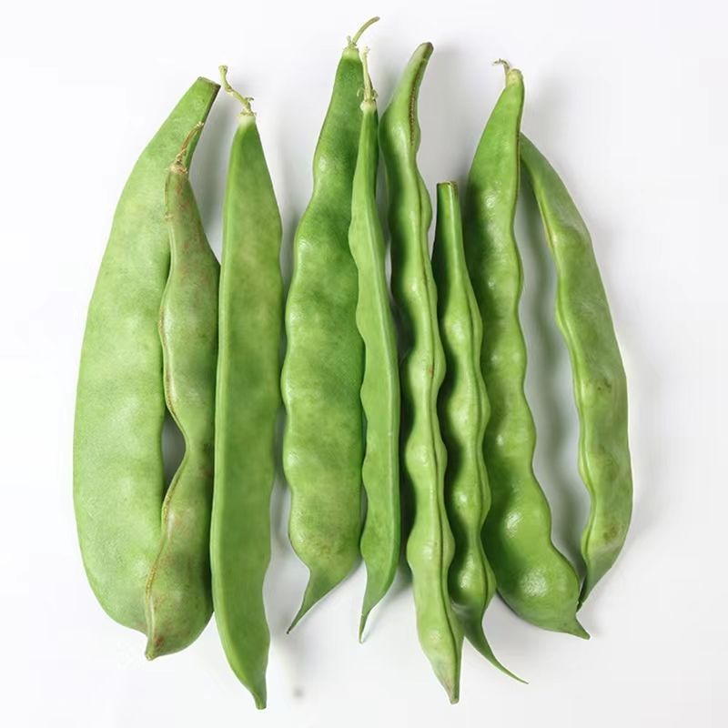 云南新鲜油豆角将军一点红纯油豆面豆角社区团购电商一件代发
