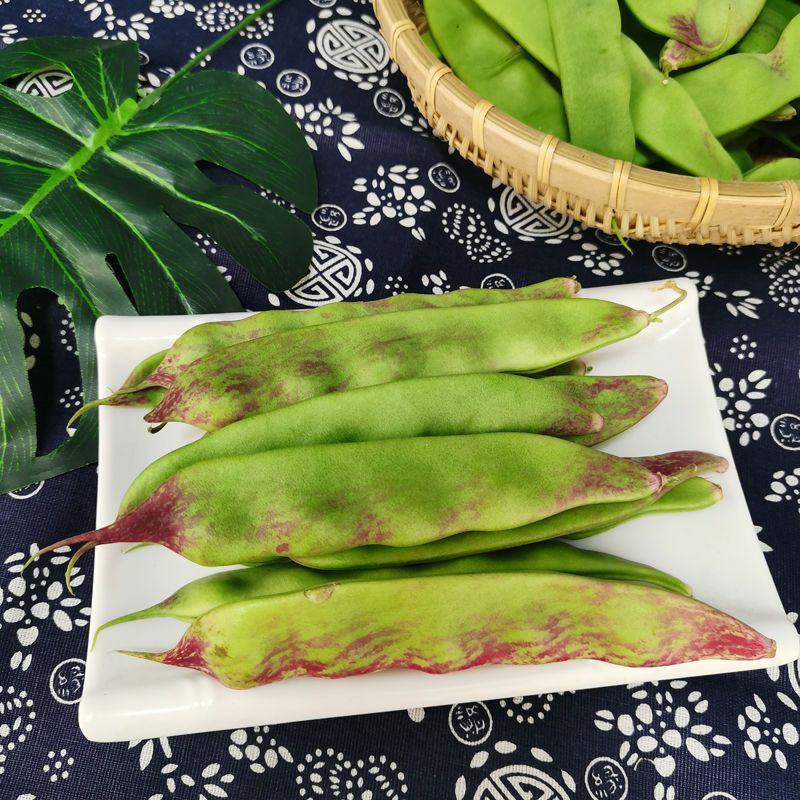 云南新鲜油豆角将军一点红纯油豆面豆角社区团购电商一件代发