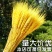 黄金大麦天然麦穗干花花束束开业大卖花篮摆件装饰批厂家干花