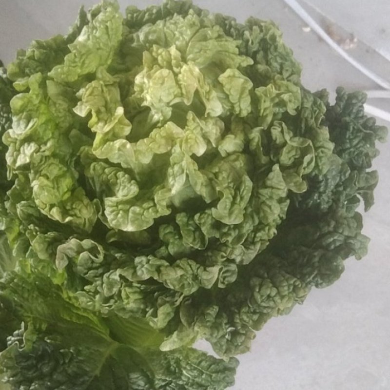 精品货，有需要的请联系。