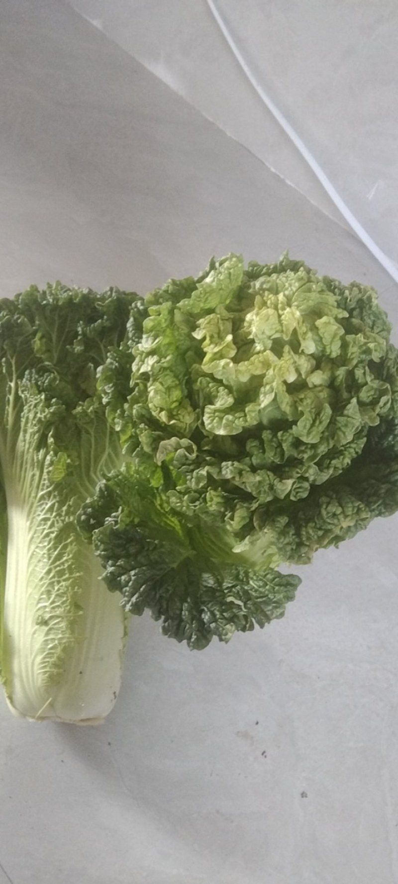 精品货，有需要的请联系。