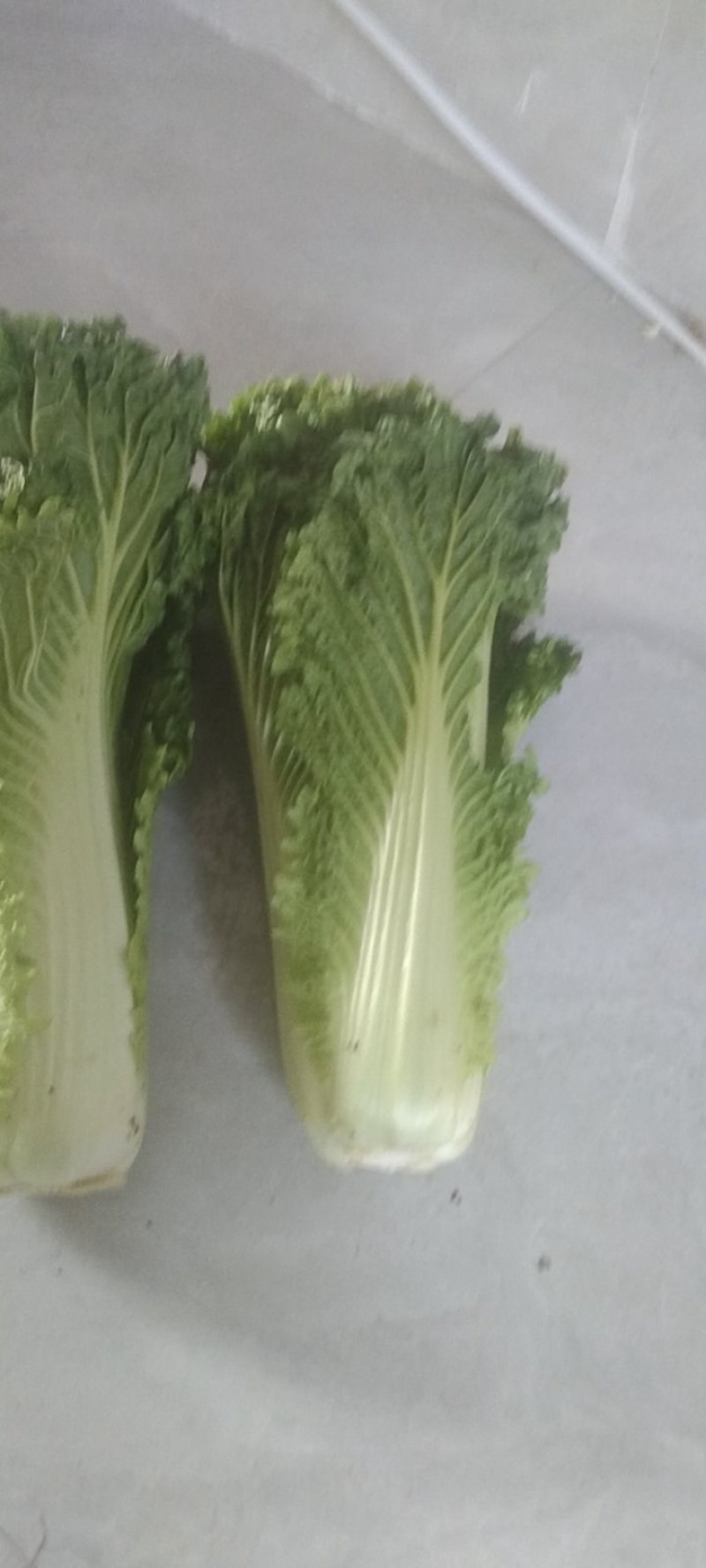 精品货，有需要的请联系。