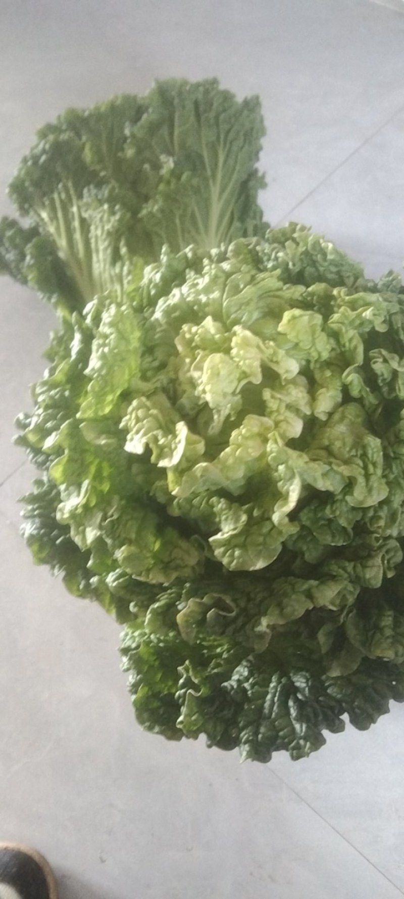 精品货，有需要的请联系。